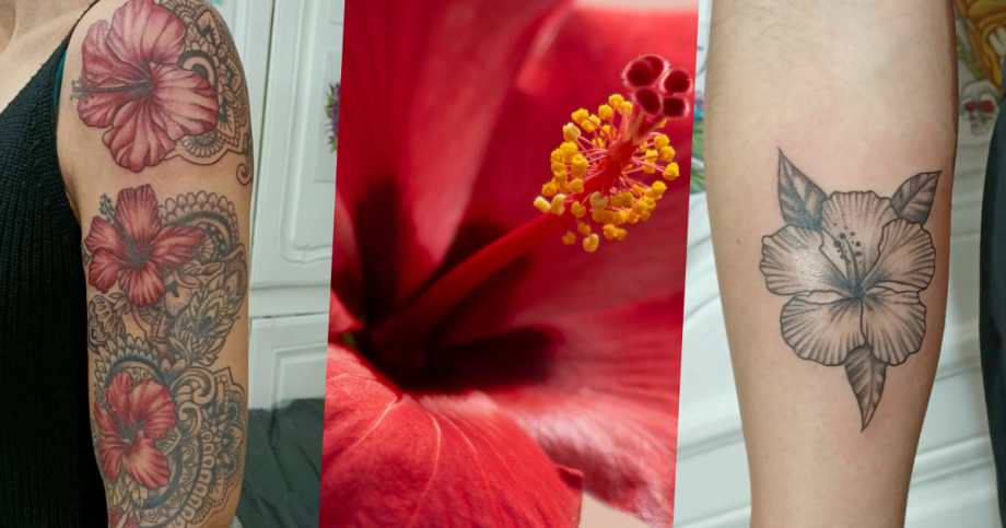 L'hibiscus dans le tatouage : la fine fleur des tattoos ? - Crock'Ink  Tatouage Bonneuil
